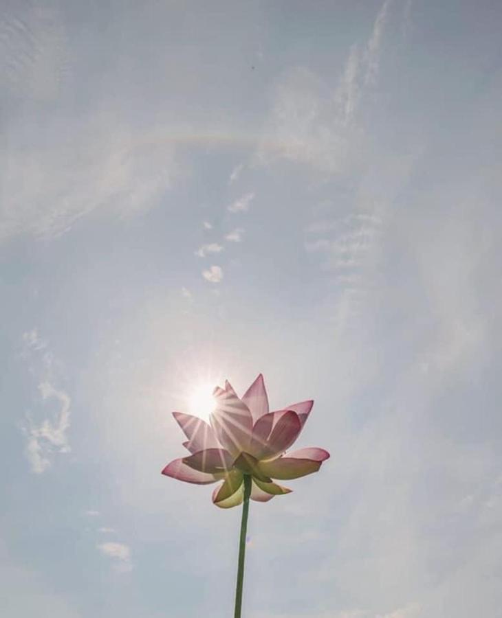 Khach San Flower Sky Nha Trang Extérieur photo